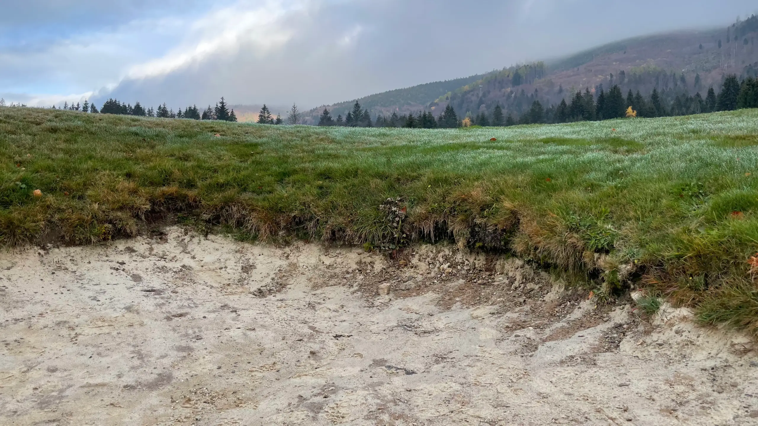 Compare before image