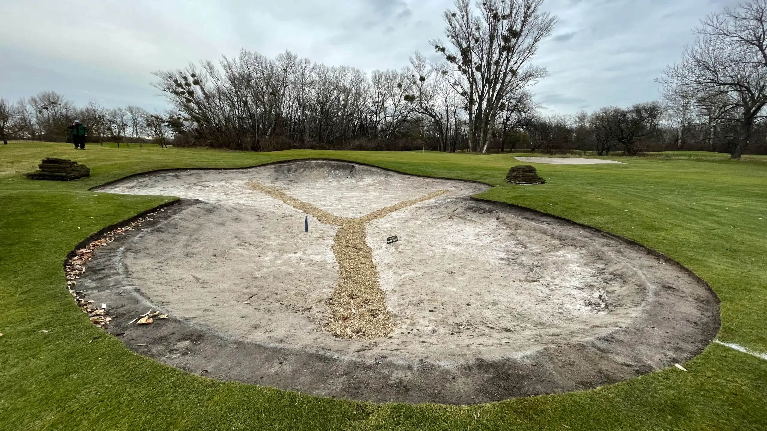 Compare before image