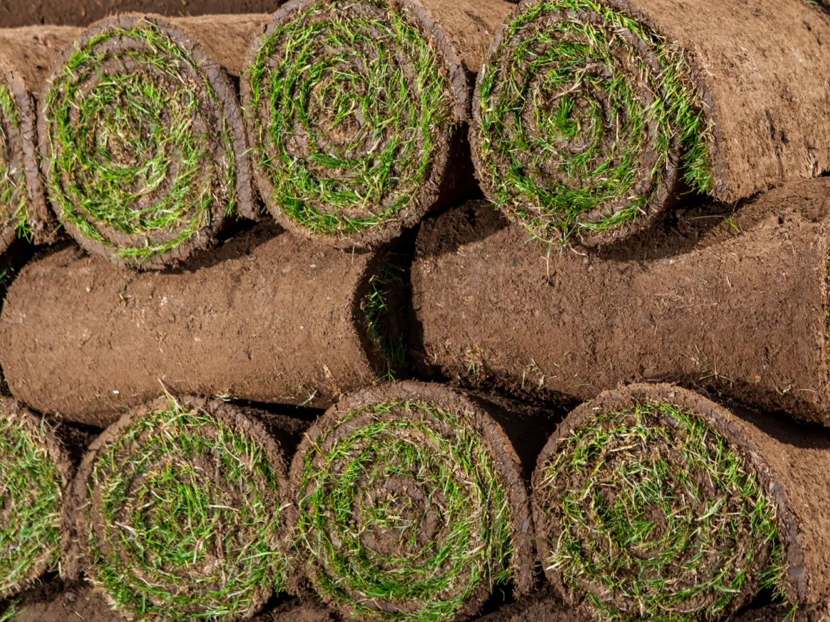 Reference card image 1