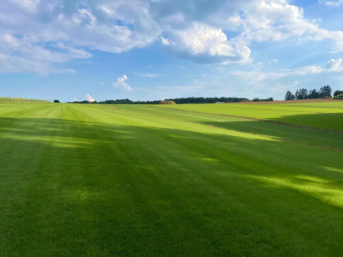 Reference card image 2