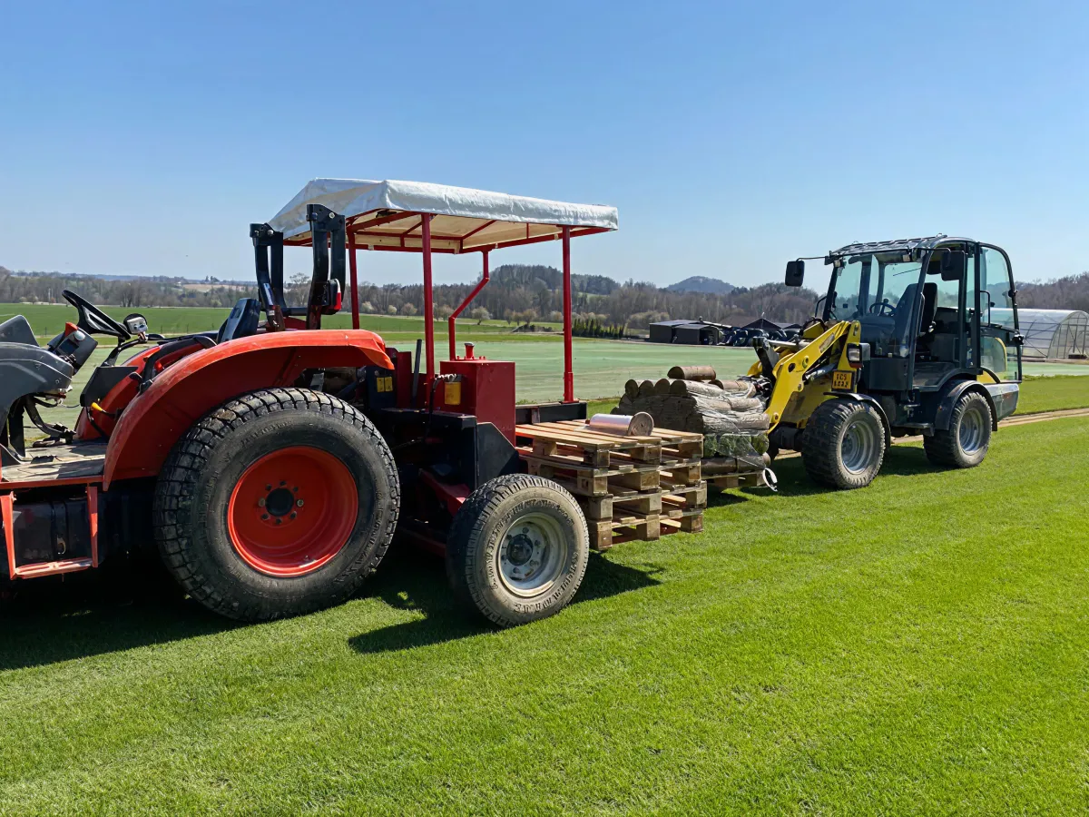 Reference card image 3