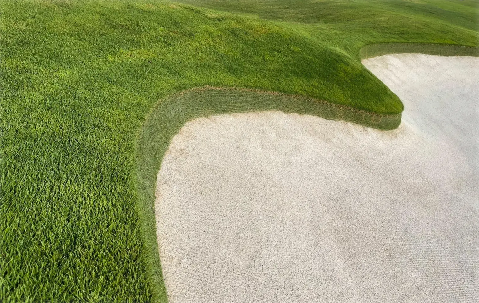 Complete reconstruction and construction of bunkers